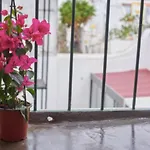 Entire Flat Great View Alcantara شقة