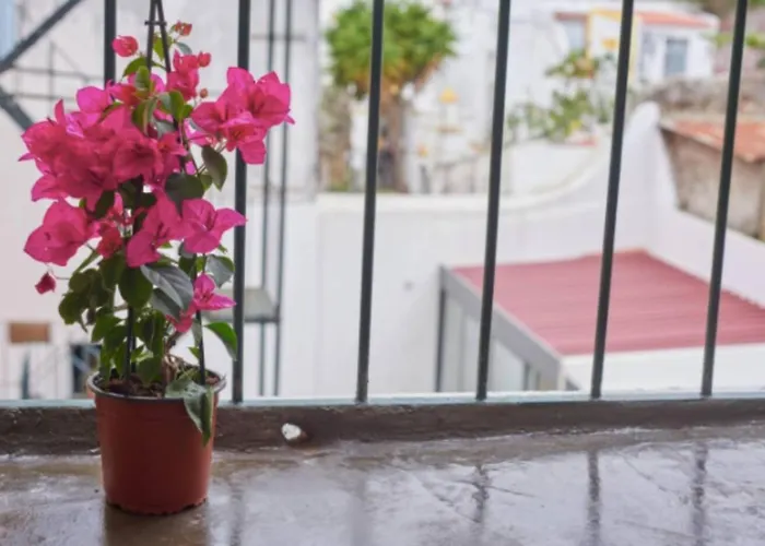 Entire Flat Great View Alcântara Appartement